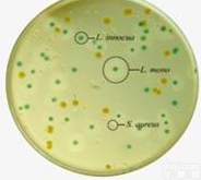 <em>3%氯化钠胰蛋白胨大豆琼脂 3%氯化钠胰蛋白胨大豆琼脂</em>价格