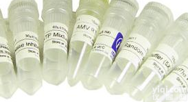 Ac-<em>DEVD</em>-CHO<em>价格</em>,Ac-<em>DEVD</em>-CHO