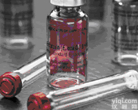 兔抗豚鼠IgG血清价格,