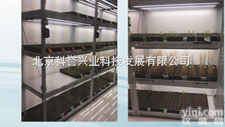 智能型<em>组织培养架</em>/专业安装<em>组织培养架</em>/培养架厂家