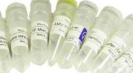 <em>0464</em>  DMF <em>二甲基甲酰胺</em>