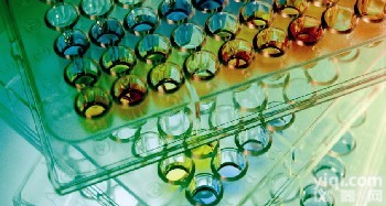 <em>加强</em>型ECL检测<em>试剂盒</em>