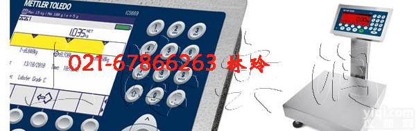 100千克带PLC控制电子秤，100千克台秤C8仪表<em>控制仪表</em>