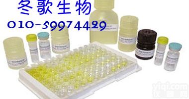 大鼠<em>乙醇</em><em>脱氢</em>酶(ADH)ELISA<em>北京</em>