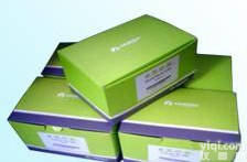 <em>R6523-01 X-Press血液RNA提取试剂盒  Omega试剂盒价格 北京</em>