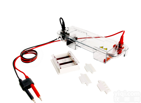 水平<em>电泳槽</em>的简介|测序电泳仪的供应|垂直电泳仪<em>玻璃板</em>,