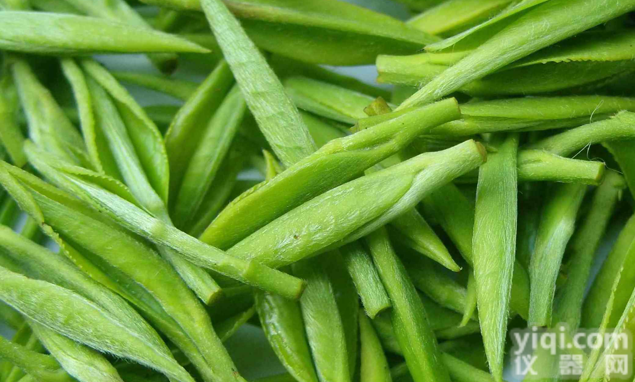 <em>茶多酚</em>，生产<em>厂家</em>