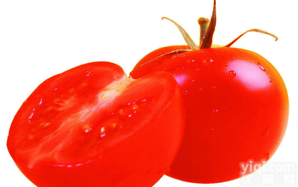 供应 <em>番茄红素</em>10% 番茄<em>提取物</em>