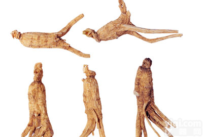 供应 <em>西洋参</em><em>提取物</em>（<em>西洋参</em>总皂甙80%）