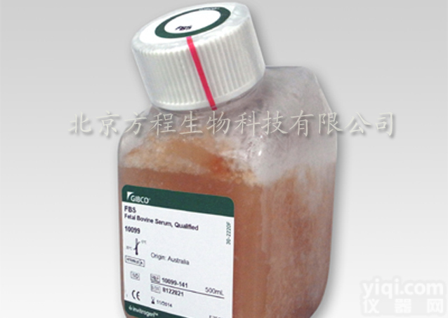 GIBCO<em>血清</em>价格 16141-079 <em>胚胎</em><em>干细胞</em>专用胎牛<em>血清</em> 500ml