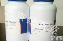 <em>Silicycle</em> <em>SiliaSphere</em> C18色谱<em>填料</em>