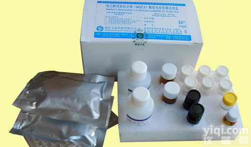 <em>pIRES</em>-EGFP<em>质粒</em>