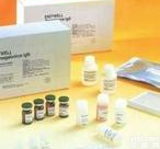 <em>人参</em>皂苷<em>Rb</em>   141753-43-9