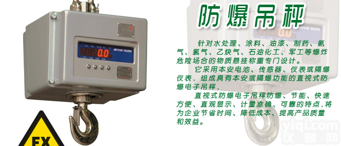 电子<em>吊秤</em>，本安型防爆电子<em>吊秤</em>，<em>隔爆型</em>电子<em>吊秤</em>