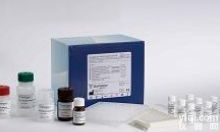 (cGMP)<em>小鼠</em>环磷酸<em>鸟苷</em>Elisa<em>试剂盒</em>