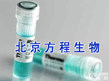 <em>木兰花</em>碱88273<em>价格</em> 北京现货