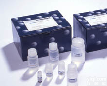 (PI3K)大鼠磷酸<em>肌醇</em>3<em>激酶</em>Elisa<em>试剂盒</em>