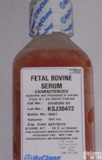 SH30088.03报价 <em>北京</em> HyClone血清<em>价格</em> 现货 SH30088.03 <em>进口</em>原装血清