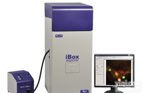 <em>活体</em>小<em>动物</em>荧光显微成像系统