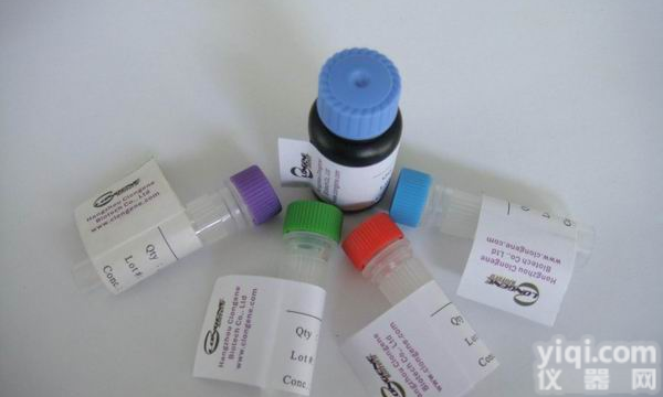 膜粘连蛋白A3<em>抗体</em>，<em>Annexin</em> Ⅲ，<em>Annexin</em> Ⅲ<em>抗体</em>