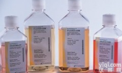 <em>内毒素</em>检测试剂，<em>培养基</em>，<em>琼脂</em>糖