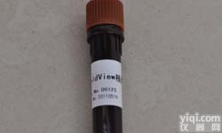 蛋白<em>酪氨酸</em>磷酸酶-1B/<em>磷酸化</em><em>酪氨酸</em><em>抗体</em>