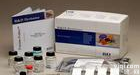 人<em>羟脯氨酸</em>糖蛋白(HRGP)ELISA<em>试剂盒</em>价格，人ELISA<em>试剂盒</em>说明书