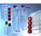 HFF<em>细胞</em>，人前<em>皮肤</em>成<em>纤维</em><em>细胞</em>