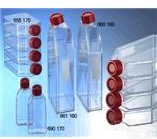 HCC94[<em>HCC941122</em>]细胞， <em>人子</em>宫鳞<em>癌细胞</em>