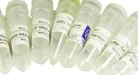 <em>0815</em>   Agarose L.M.P  低<em>熔点</em><em>琼脂</em>糖