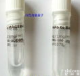 SAMDC碱性磷酸酶AP标记抗体，碱性磷酸酶AP标记S-腺苷蛋氨酸脱羧酶抗体