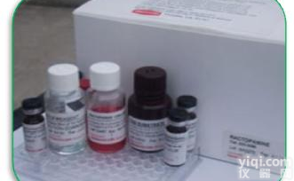 人<em>妊娠</em><em>特异性</em>β1糖蛋白(SP1/PSβ1-G)ELISA<em>试剂盒</em>价格，人ELISA<em>试剂盒</em>说明书