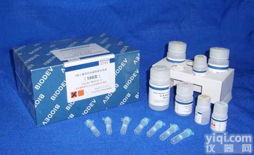 兔子血纤蛋白原降解产物(FDP)ELISA<em>试剂</em>盒(进口/<em>国产</em>，96T/48T)