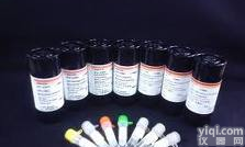 G <em>Protein</em>(Guanine nucleotide-binding regulatory protein)  G<em>蛋白</em>（<em>鸟苷酸</em>结合<em>蛋白</em>）（抗原）