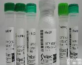 铁<em>扫帚</em><em>标准品</em>价格