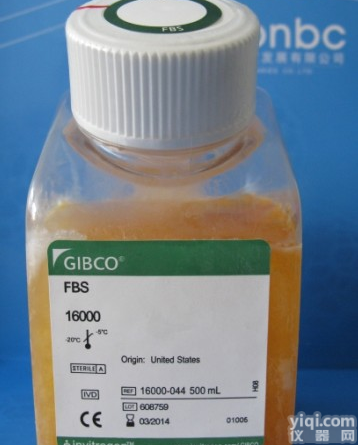 Fetal Bovine Serum (FBS) for consistent cell growth