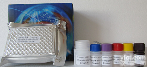 人<em>钙离子</em>通道<em>抗体</em>(VGCC)ELISA<em>试剂盒</em>，ELISA检测<em>试剂盒</em>厂商