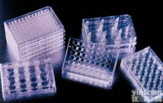 Nunc<em>多孔</em>细胞<em>培养</em>板，聚苯乙烯，带盖，Nunclon△表面，孔数，6，建议工作容量，3ml/孔，每包/箱数1/75