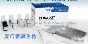 (Casp-12)<em>ELISA</em><em>试剂盒</em> 人胱天<em>蛋白酶</em>12(Casp-12)<em>ELISA</em><em>试剂盒</em>