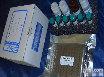 人葡萄糖依赖性<em>胰岛素</em>释放<em>多肽</em>试剂盒,葡萄糖依赖性<em>胰岛素</em>释放<em>多肽</em>试剂盒供应商