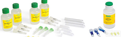 人toll样<em>受体</em>2<em>试剂盒</em>,toll样<em>受体</em>2<em>试剂盒</em>，toll样<em>受体</em>2<em>试剂盒</em>供应商