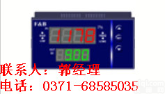 <em>XMH5000系列炉膛负压数显记录仪</em>