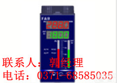 <em>XME5000系列双输入液位差显示控制变送仪</em>