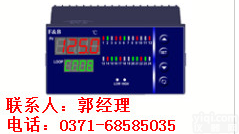 XMD5000 <em>XMD52208V</em><em>巡检仪</em>