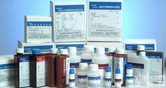  5-<em>羟色胺</em><em>受体</em>1A(<em>多肽</em>),5-HTR1A抗体