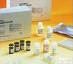 乳腺癌易感基因1<em>抗原</em>(<em>小鼠</em> 大鼠),BRCA1<em>抗体</em>