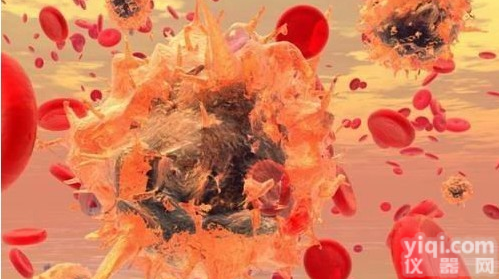 <em>非洲</em>绿猴肾<em>细胞</em>，VERO <em>C1008</em>(E6)<em>细胞</em>促销