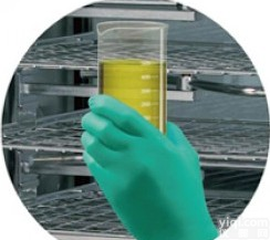 金<em>佰利</em>（Kimberly-Clark）绿色薄型<em>手套</em>KLEENGUARD* G20(小号)