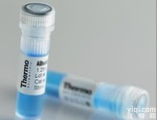 骨<em>形态</em>发生<em>蛋白</em>-2<em>抗体</em>，Anti-BMP2<em>抗体</em>