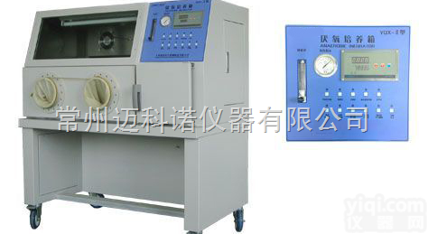 <em>YQX</em>—Ⅱ <em>厌氧培养</em>箱，<em>厌氧培养</em>箱生产厂家